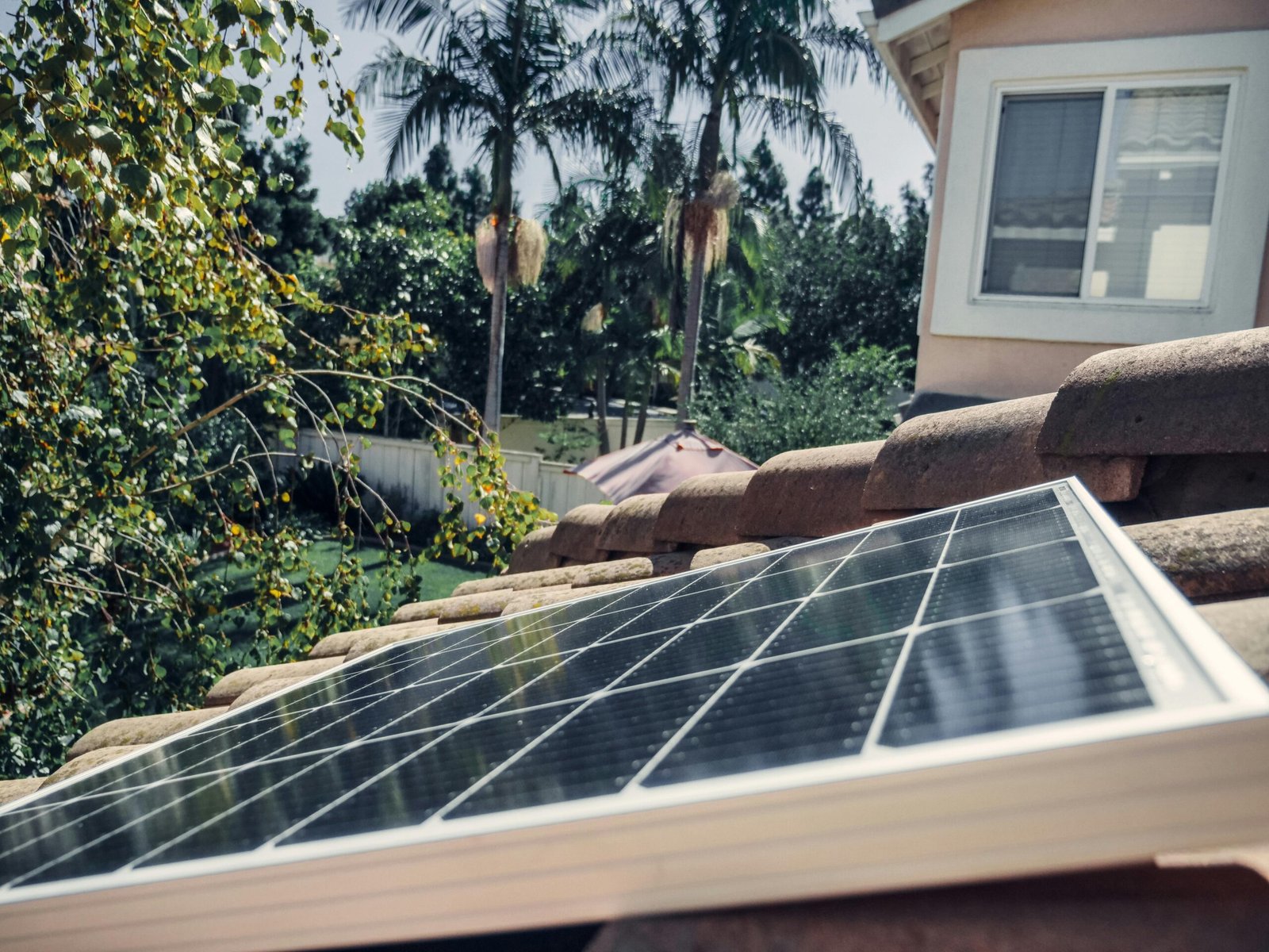 Tile Roofs, Metal Roofs, Flat Roofs: